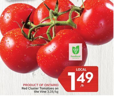 Foodland Red cluster tomatoes on the vine product of ontario offer
