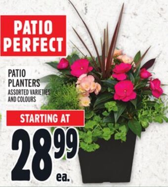 Metro Patio planters offer