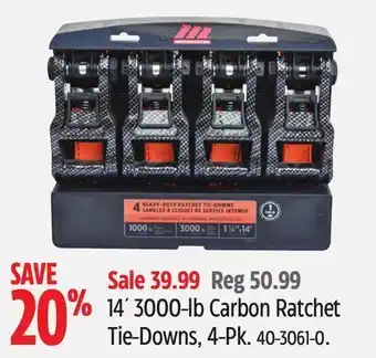 Canadian Tire Motomaster 14' 3000-lb carbon ratchet tie-downs, 4-pk offer