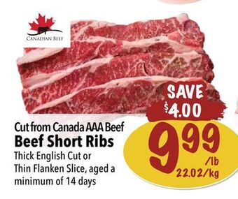Farm Boy Cut from canada aaa beef beef short ribs offer