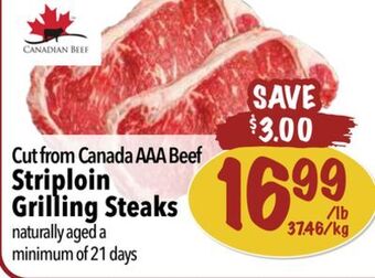 Farm Boy Cut from canada aaa beef striploin grilling steaks offer