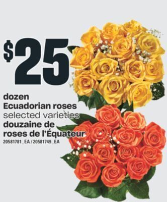 Valu-mart Douzaine de roses de l'équateur offer