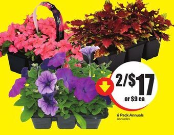FreshCo 6 pack annuals offer