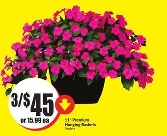 FreshCo 11 premium hanging baskets offer
