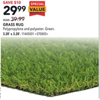 RONA Grass rug 3.28' x 3.28' offer