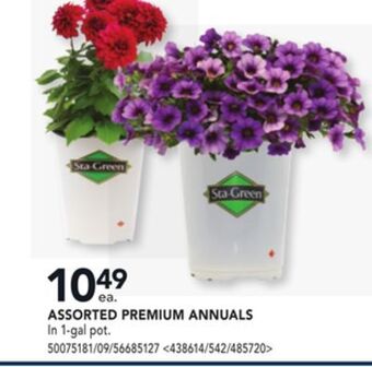 RONA Assorted premium annuals offer
