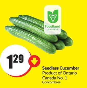 Chalo FreshCo Seedless cucumber product of ontario canada no. 1 offer