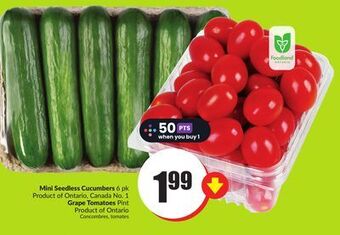 Chalo FreshCo Mini seedless cucumbers 6 pk product of ontario, canada no. 1 grape tomatoes pint product of ontario offer