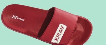 Giant Tiger Xray men's slides offer