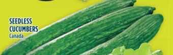 Marché Adonis Seedless cucumbers offer