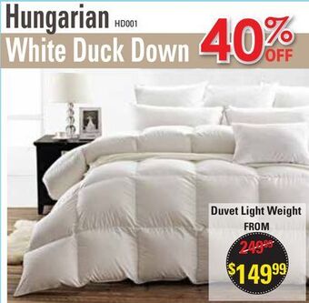 Oxford Mills Hungarian white duck down offer