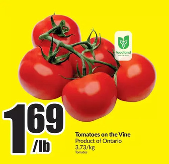 FreshCo Tomatoes on the vine offer