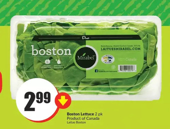 FreshCo Boston lettuce offer
