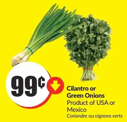 FreshCo Cilantro or green onions offer