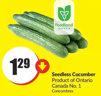 FreshCo Seedless cucumbers offer
