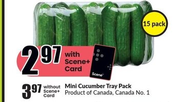 FreshCo Mini Cucumber Tray Pack offer