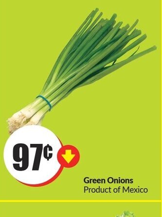 FreshCo Green Onions offer