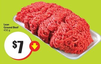 FreshCo Lean Ground Beef 450 g offer