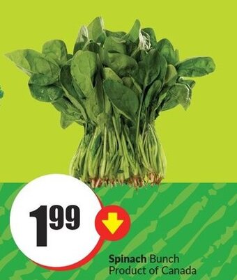 FreshCo Spinach Bunch offer
