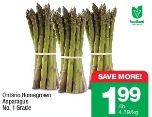 Highland Farms Ontario homegrown asparagus offer