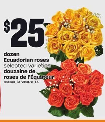Independent City Market Douzaine de roses de l'équateur offer