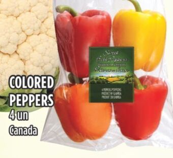 Marché Adonis Colored peppers offer