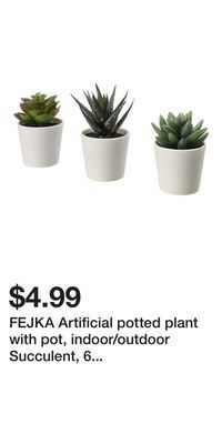 IKEA Fejka artificial potted plant with pot, indoor/outdoor succulent, 6 cm 3 pack (2 ¼ 3 pack) offer
