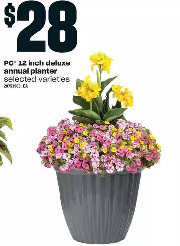 Loblaws Pc 12 inch deluxe annual planter offer
