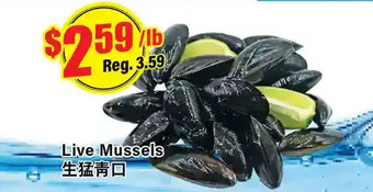 Btrust Supermarket Live mussels offer