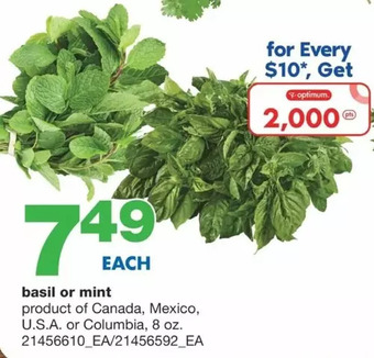 Wholesale Club Basil or mint offer