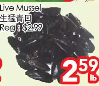 Superking Supermarket Live mussel offer