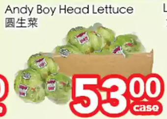 Superking Supermarket Andy boy head lettuce offer