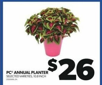 Real Canadian Superstore PC ANNUAL PLANTER 10.8 INCH offer