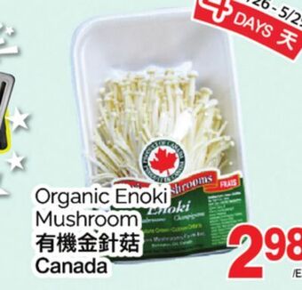 T&T Supermarket Organic enoki mushroom offer