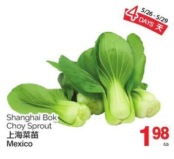 T&T Supermarket Shanghai bok choy sprout offer