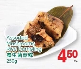 T&T Supermarket Assorted Mushrooms Rice Dumpling 250g offer