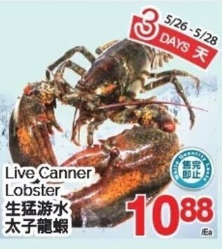 T&T Supermarket Live Canner Lobster offer