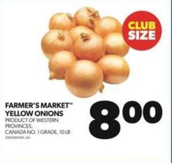 Wholesale Club FARMER'S MARKET YELLOW ONIONS 10 LB offer