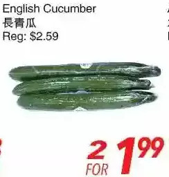 Foody World English cucumber offer