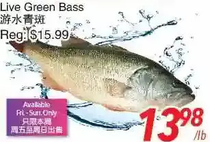 Foody World Live green bass offer