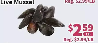 Blue Sky Supermarket Live mussel offer