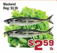 Top Food Supermarket Mackerel offer