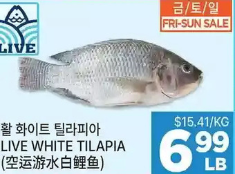 H-Mart Live white tilapia offer