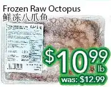 Ample Food Market Frozen raw octopus offer