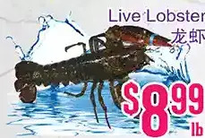 Grant's Foodmart Live lobster offer