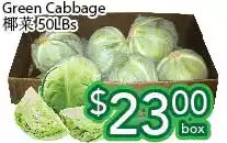Ample Food Market Green cabbage offer