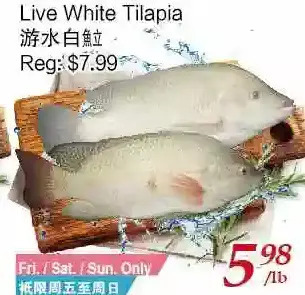 Tone Tai Supermarket Live white tilapia offer