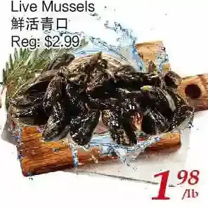 Tone Tai Supermarket Live mussels offer