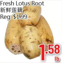 Hong Tai Supermarket Fresh lotus root offer