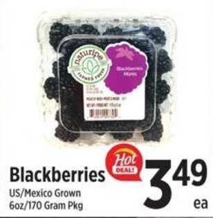 Blackberries